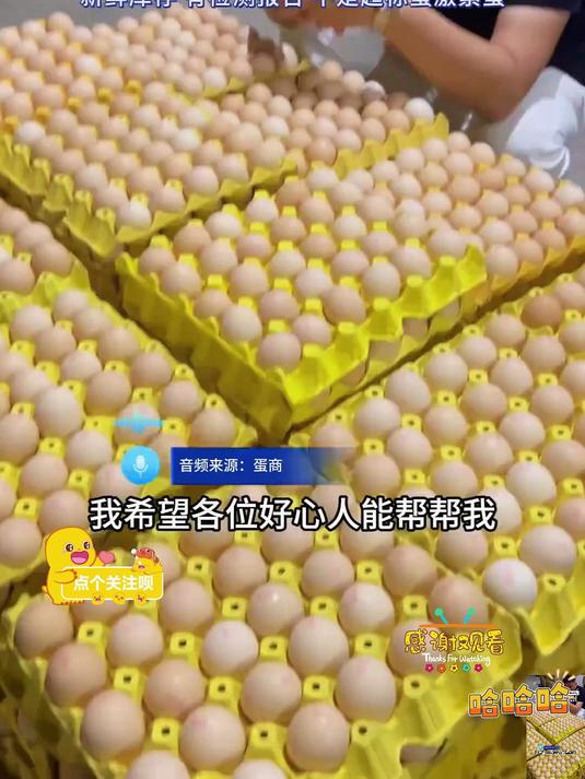 正宗高山散养土鸡蛋当天捡当天发很新鲜水煮蛋很香很香非常好吃