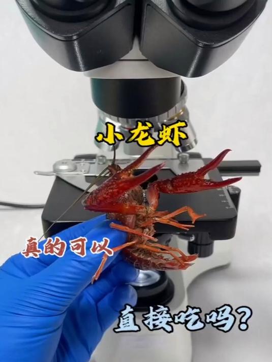 小龙虾真的有寄生虫吗?