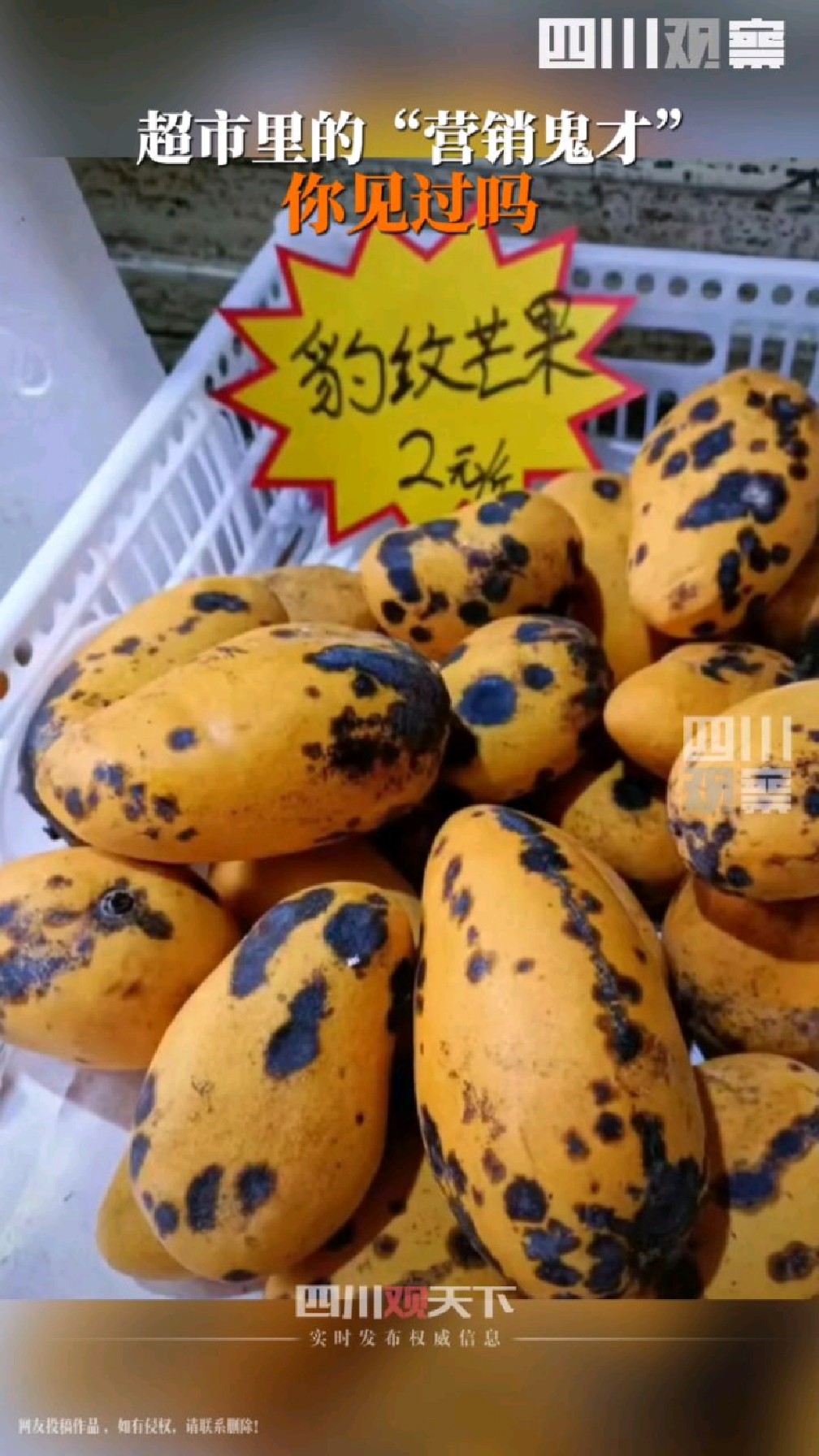 5月26日一位网友晒出“豹纹芒果”,仰泳鲈鱼、会睡觉的鱼、芝麻香蕉#商家都是取名鬼才