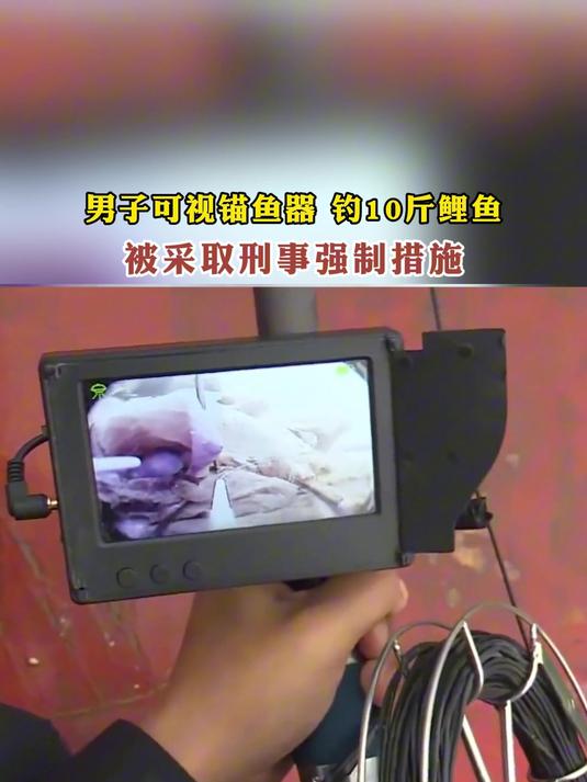 男子可视锚鱼器,钓10斤鲤鱼,被采取刑事强制措施