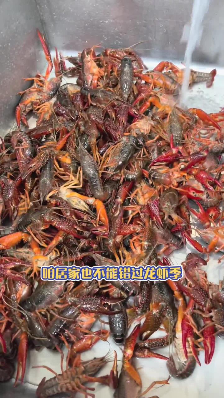 在家也不能错过的龙虾季。吃小龙虾就要吃炮头龙虾