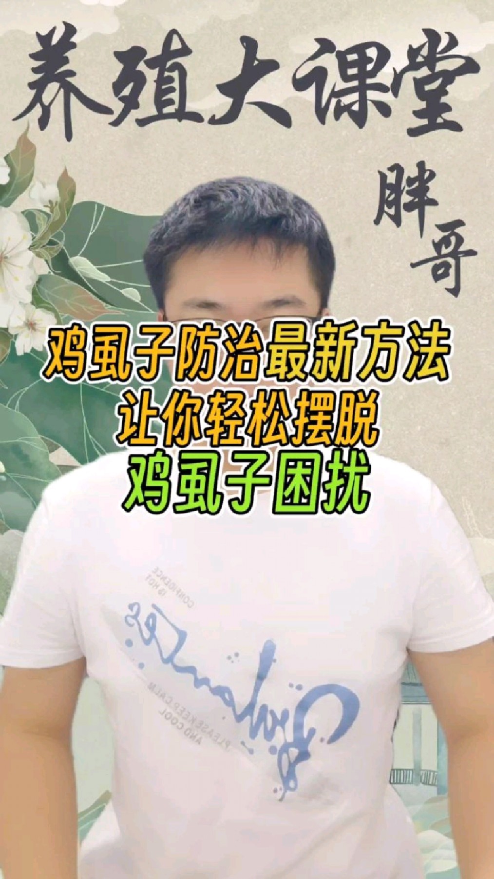 鸡虱子的克星 去虱子最好最快的药 鸡虱子怎么去除 专治鸡虱子的药 虱子卵最怕什么