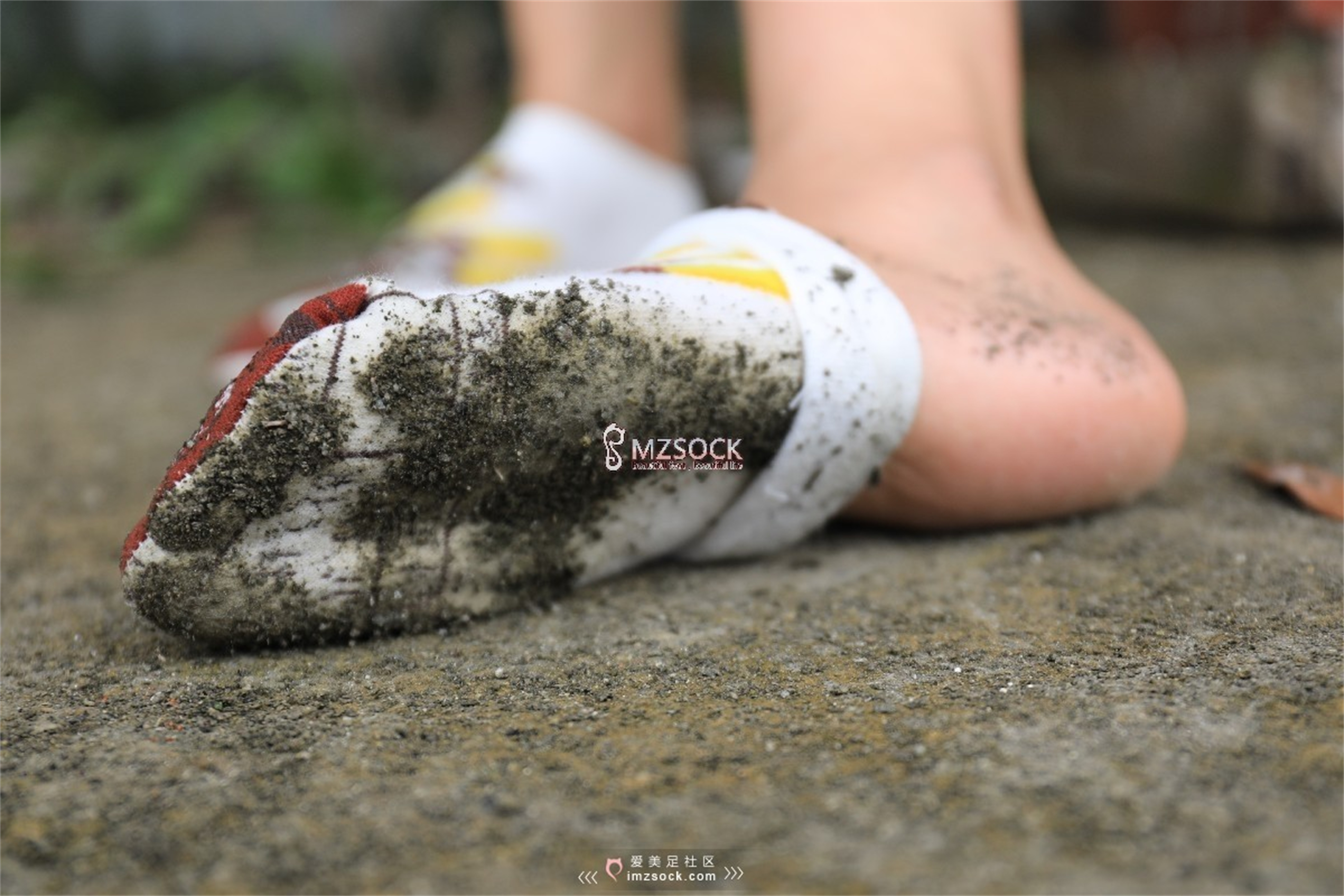 图片[94]-[MZSOCK]爱美足 NO.049 悦悦[122P403M]-六色网