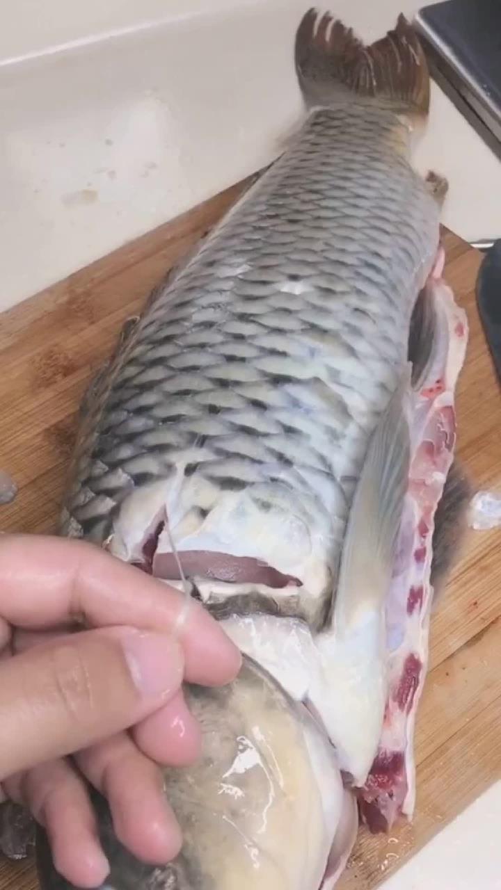 一看就懂,一学就会,酸菜焖鲤鱼,希望大家能够喜欢
