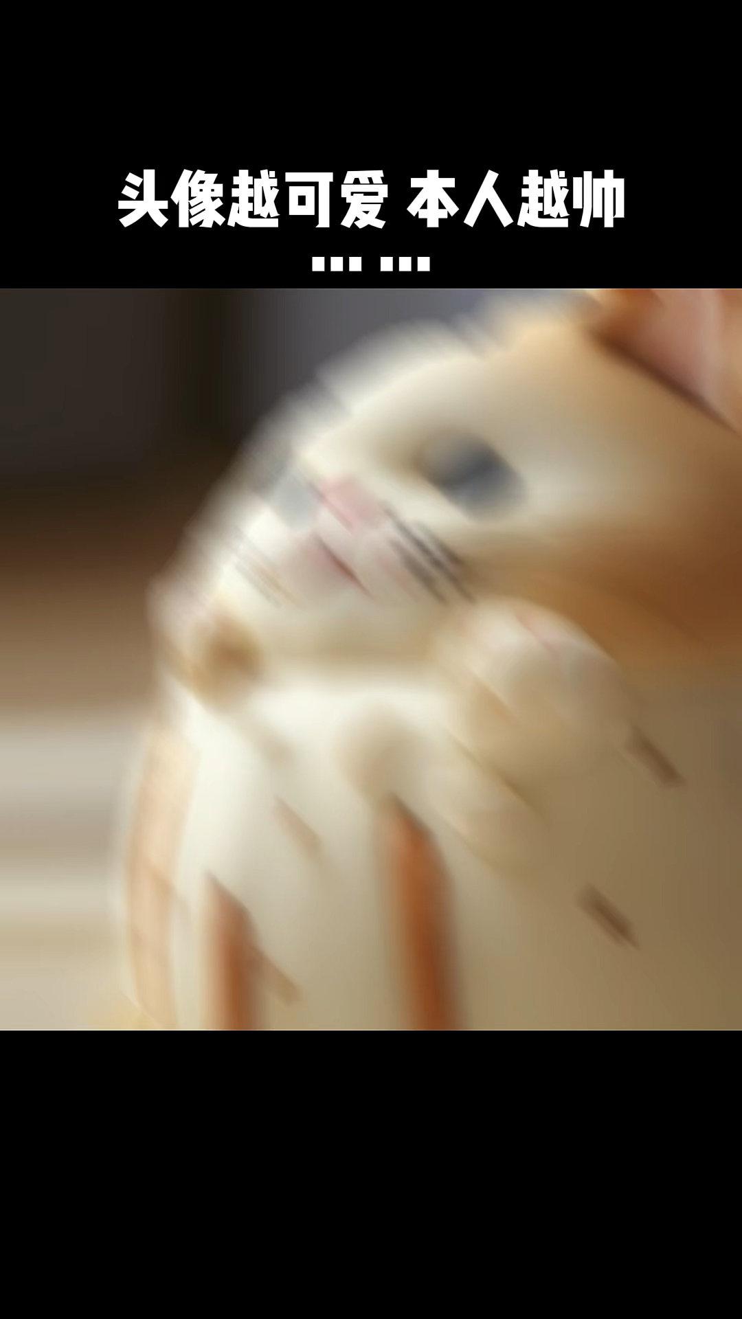 可爱的猫猫蛋糕头像,你不想换一个吗?