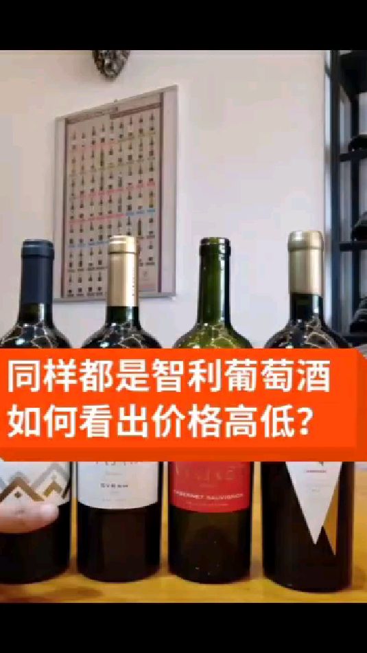 买智利葡萄酒的时候,怎么看出它大概的价格?教你看酒标 #葡萄酒 #买酒