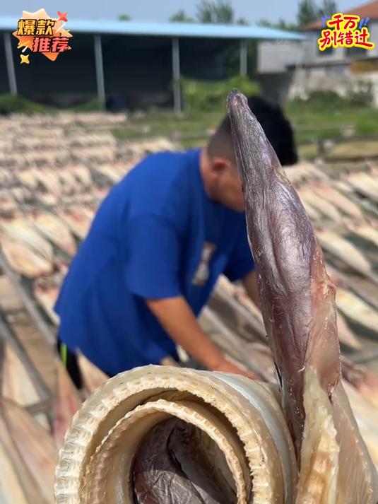 几十块钱就能买到那么大一条的鳗鱼干你敢相信吗快点击链接看看吧