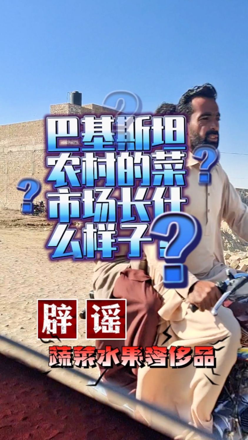 都说在巴基斯坦穷人吃不起菜,今天跟我一起看看巴基斯坦农村菜市场长什么样子