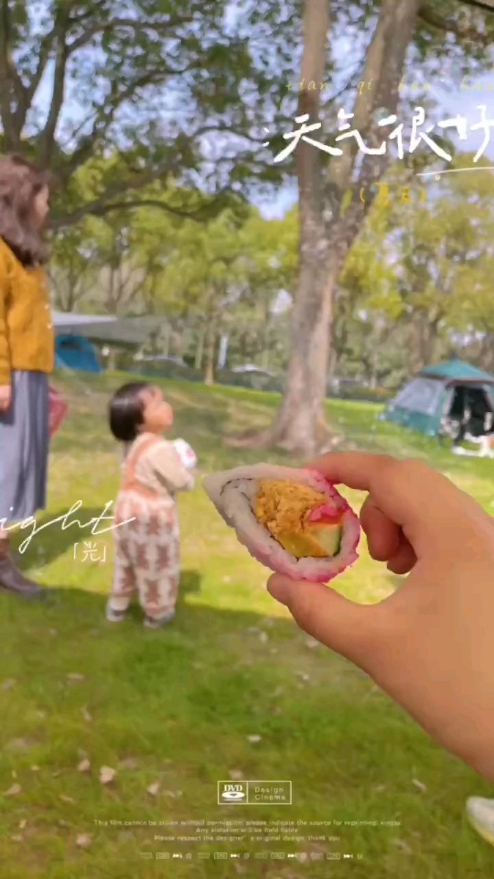 樱花就是春天最美的文案~ 带上N多寿司一起去野餐吧~