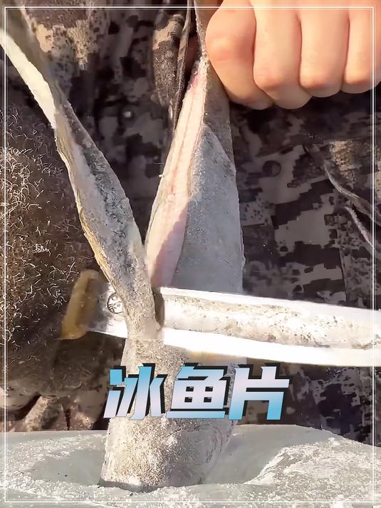 零下75°的雅库特人为什么这么喜欢吃冰鱼生鱼片?