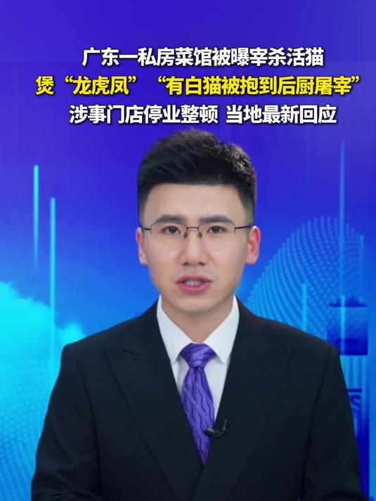 广东一私房菜馆被曝宰杀活猫