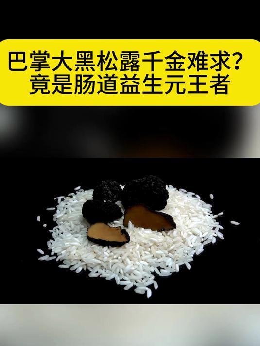 巴掌大黑松露千金难求?竟是肠道益生元王者