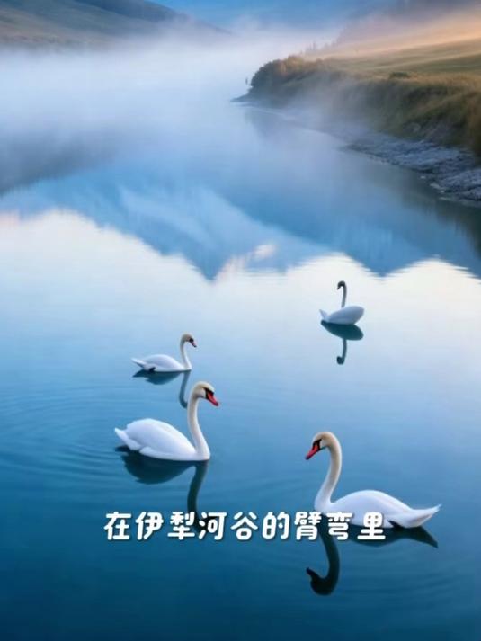 新疆·伊犁天鹅泉:雾凇天鹅湖的优雅冬日