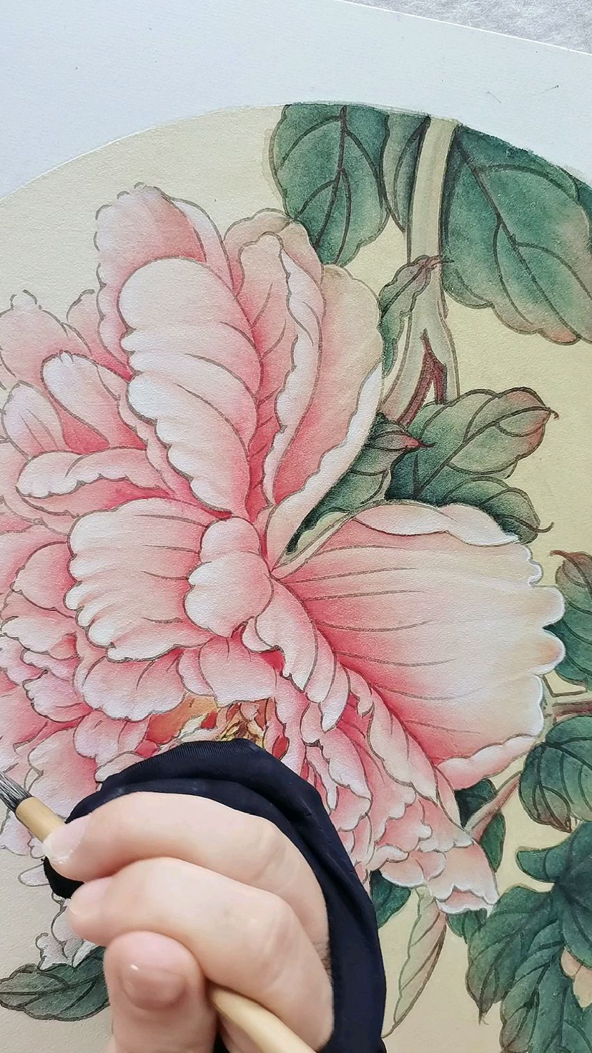 工笔画牡丹,每一次都有不一样的感悟