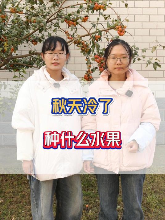 秋天种什么水果?