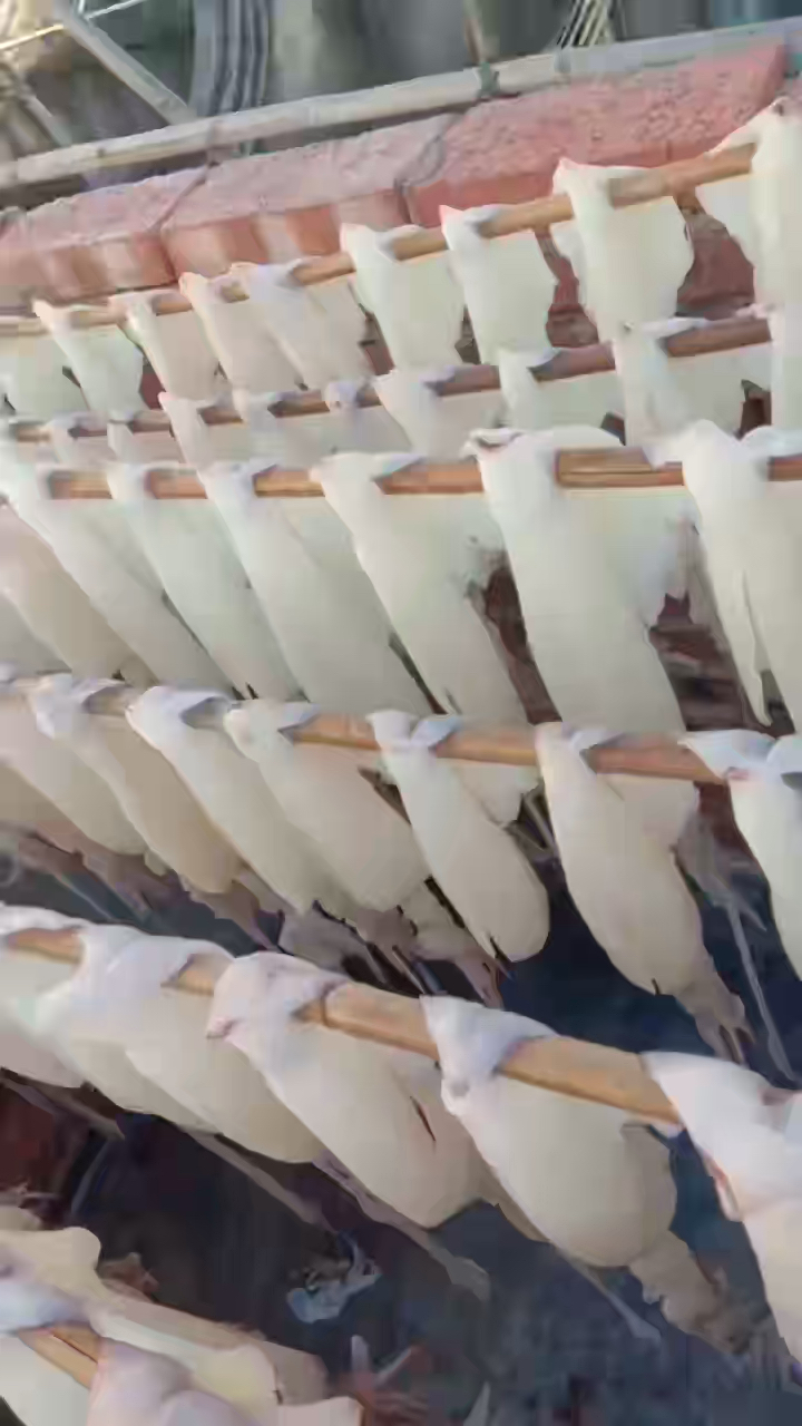 本港鱿鱼干,大小规格有鲜鱿鱼即晒,海风吹烈日晒风味独特,不可媲美的鲜香!