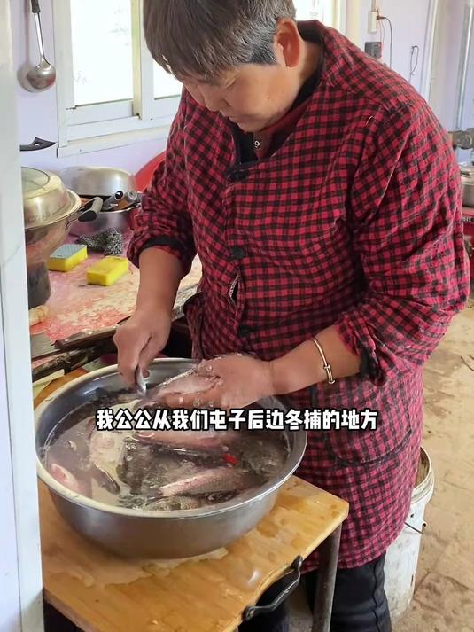 东北农村的猫冬生活:野生鱼