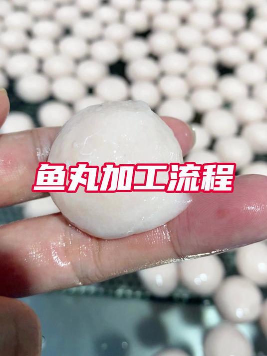 水嫩鱼丸加工流程整套做鱼丸的设备鱼圆机器厂家