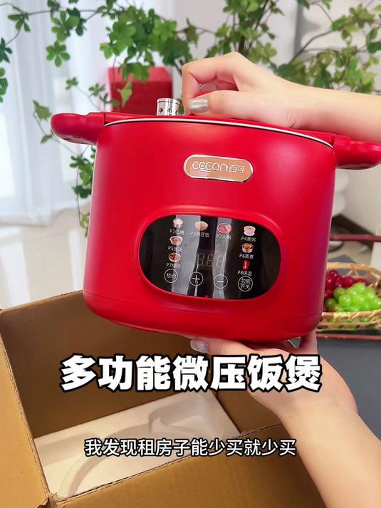 一个人住备上这个压力锅就够了，煮粥煲汤炖菜简单操作就能成