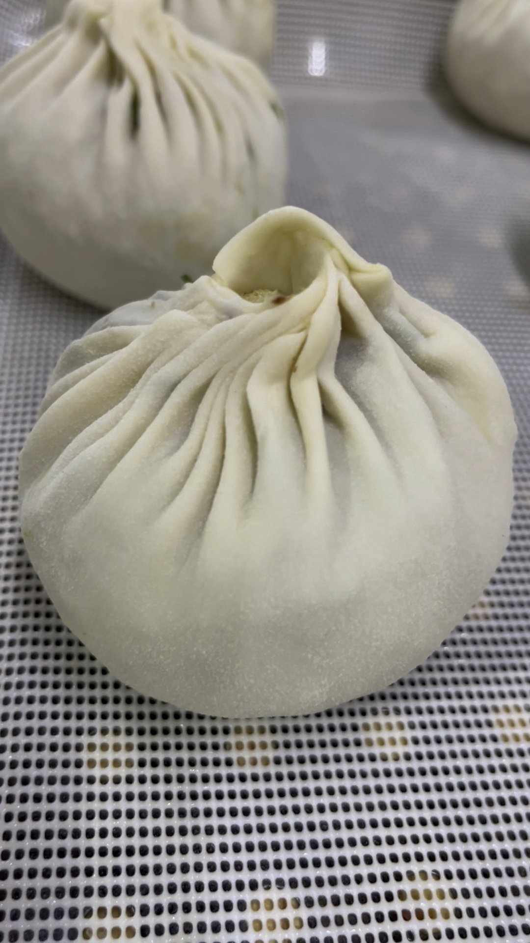 纸皮素包子手法