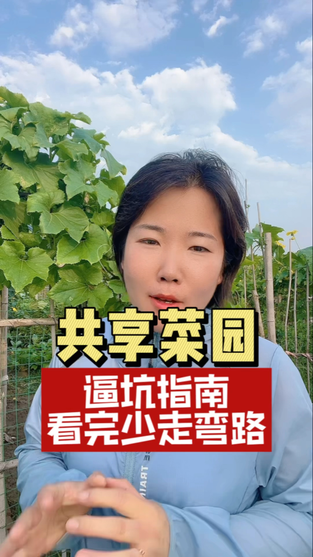 共享菜园逼坑指南,13年经验分享。