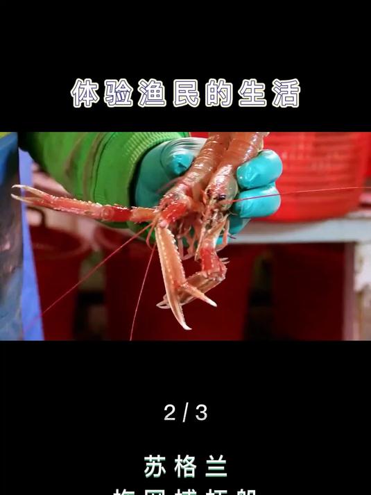 体验苏格兰渔民的咸味生活,只要肯吃苦,宝骏换路虎 船舶