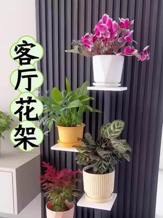 客厅摆这花架,设计感拉满,氛围超棒
