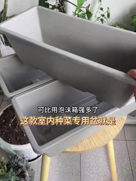 爱种菜种花别错过,长条塑料盆登场,空间利用超高效!