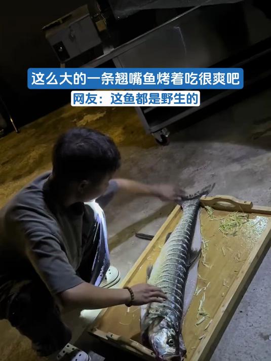 这么大的一条翘嘴鱼烤着吃很爽吧
