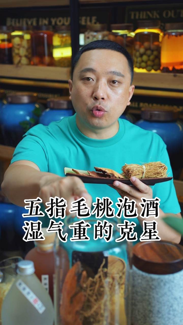 五指毛桃泡酒,天然排湿器,湿气重的克星!