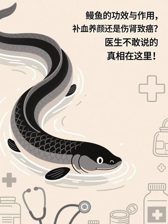 鳗鱼的功效与作用，补血养颜还是伤肾致癌？医生不敢说的真相在这里！#春分养生攻略#