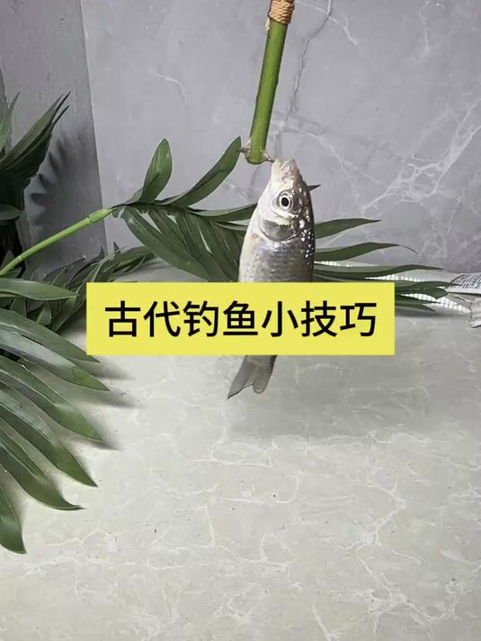古代钓鱼小技巧