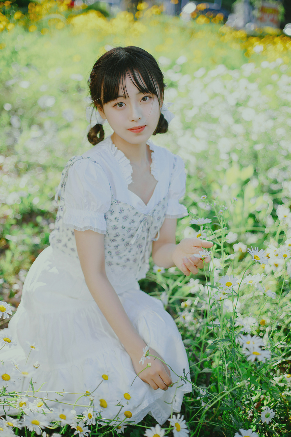 图片[10]-初夏の小雏菊Ⅱ-六色网