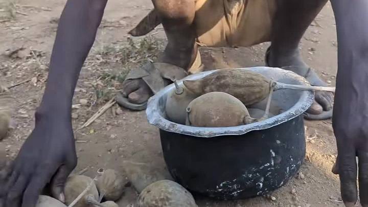 圆圆的猴面包果,神奇的猴面包树屋