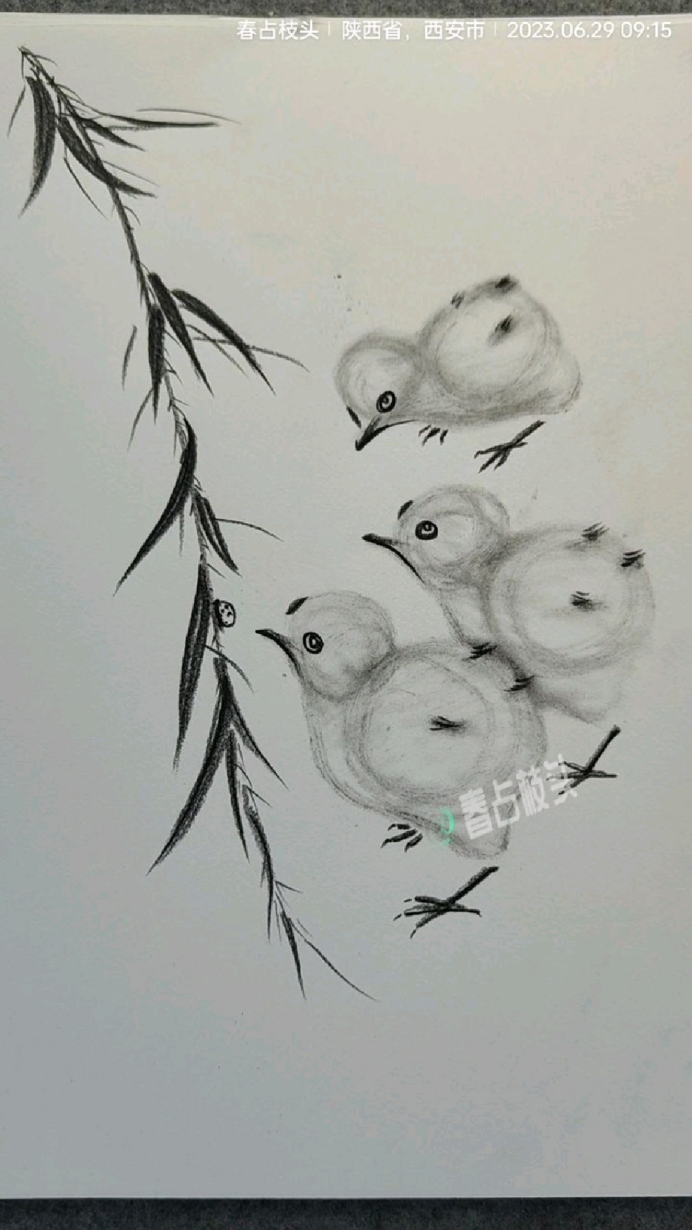 碳笔画三只小鸡,可爱有趣!