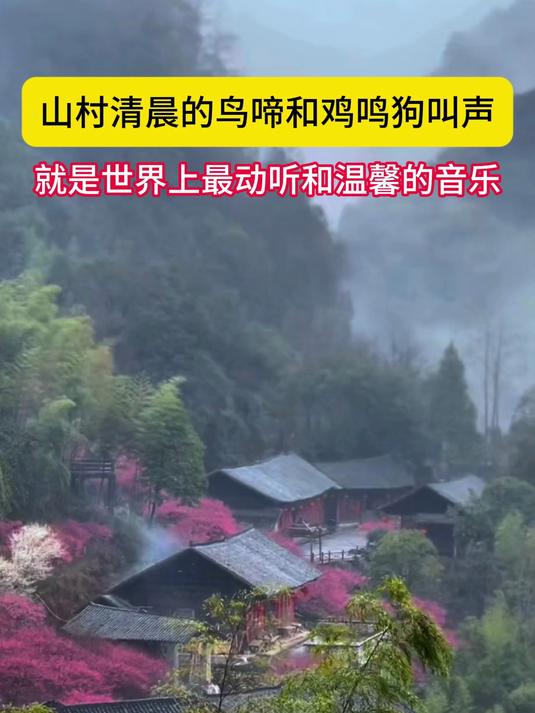 你有多久没听见山村清晨的鸟啼和鸡鸣狗叫声#这夏就出发#