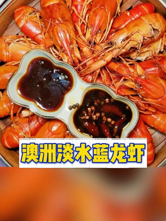 澳洲淡水蓝龙虾