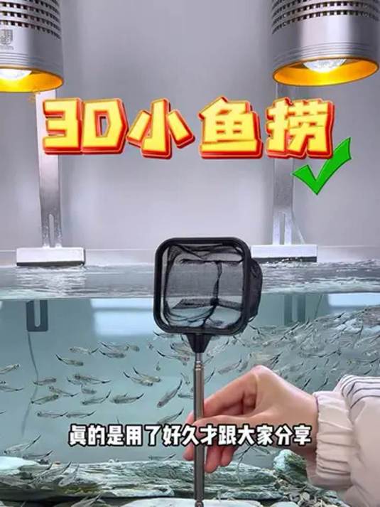 3D 鱼捞用途多 捞鱼隔离两不误 水族必备好物