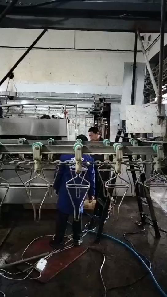 正顺鸡鸭鹅家禽屠宰流水线升级改造完成 老母鸡卧式脱毛机 家禽蒸汽加热烫池 杀鸡流水线