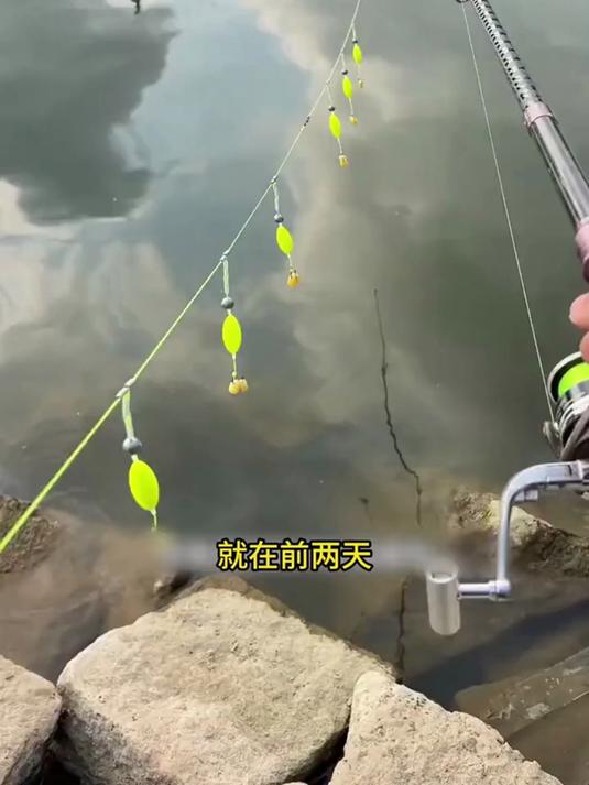 这才是钓大鱼能提升十倍上鱼率的反底串钩,防挂底抗走水