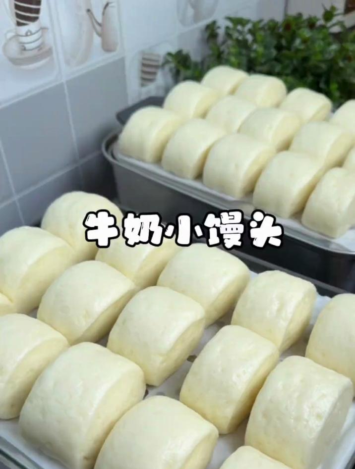 一次醒发的牛奶小馒头,松软香甜像棉花一样柔软,超好吃