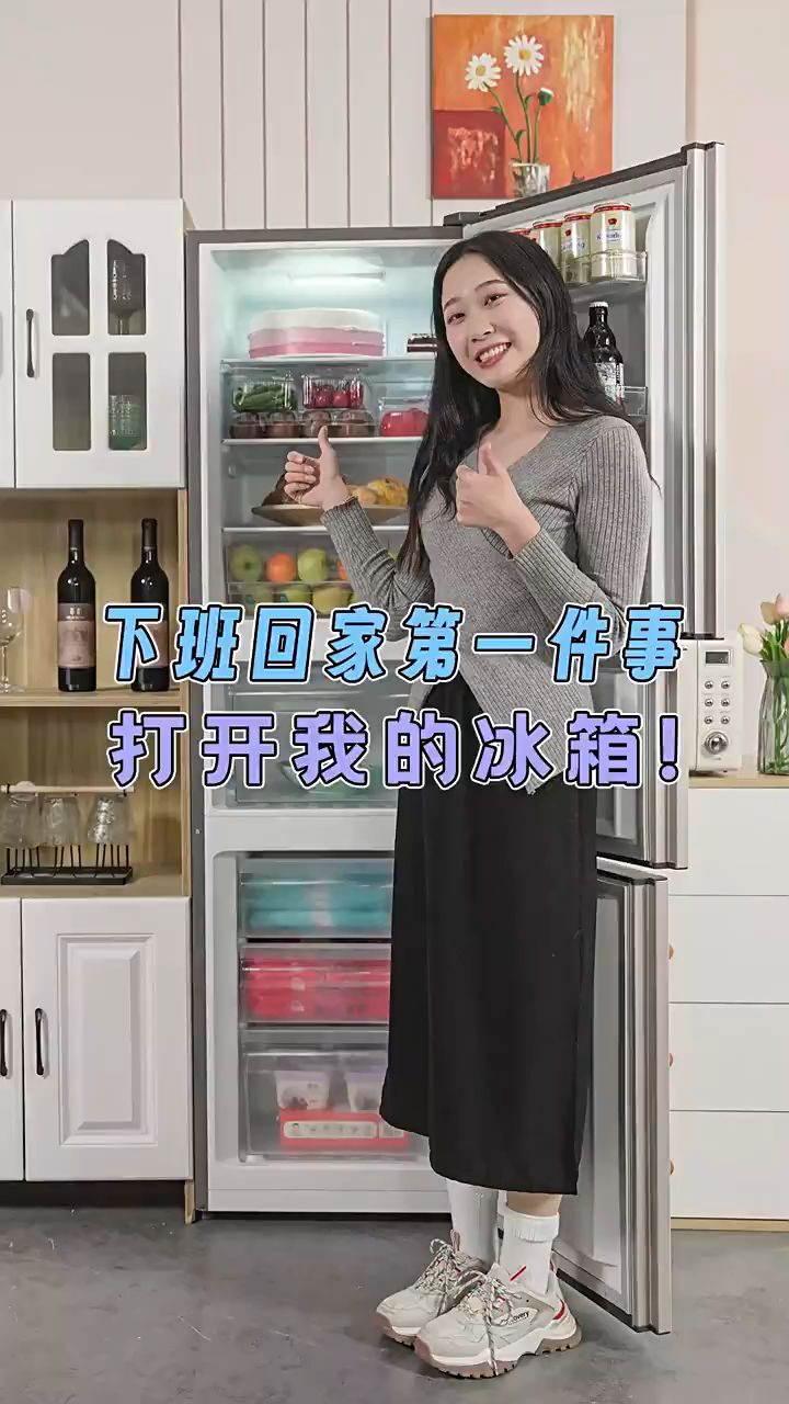 海信220l三门电冰箱