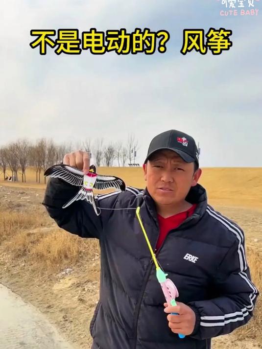 2026 升级动态鱼竿风筝，老鹰燕子蝴蝶造型，儿童手持微风超好飞