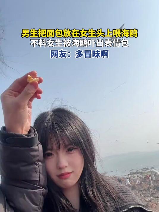 男生把面包放在女生头上喂海鸥，不料女生被海鸥吓出表情包，网友：多冒昧啊