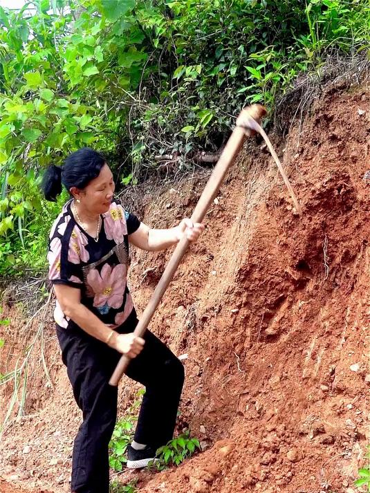 姥姥用叫花鸡的方式做大龙虾,鲜嫩多汁,吃的太爽了!