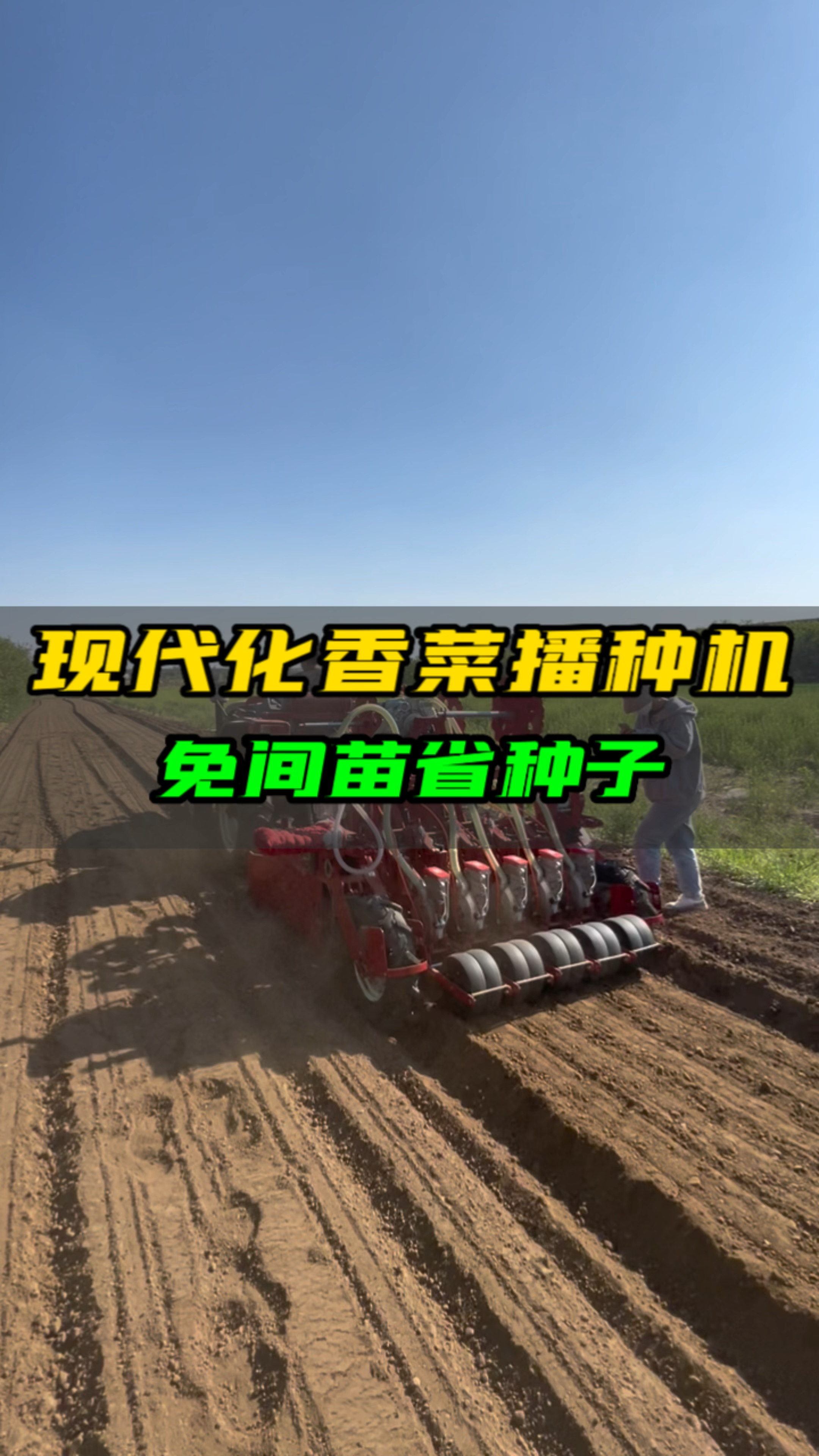 现代化香菜播种机免间苗省种子