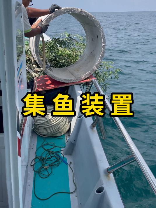 集鱼装置,吸引鱼群聚集,是一种传统的捕鱼工具!
