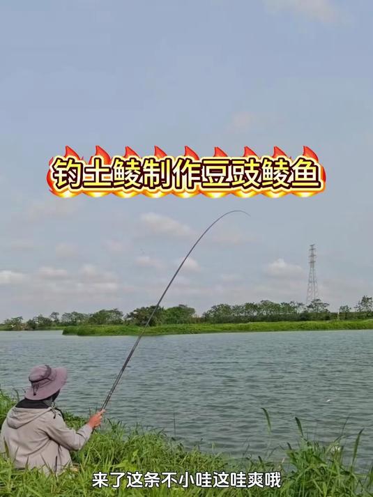 最近土鲮非常狂口 钓土鲮鱼制作豆豉鲮鱼 没想到