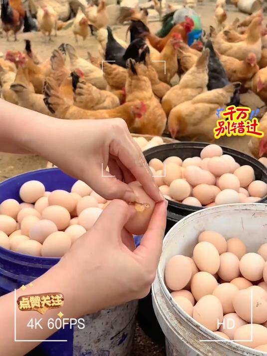 这个绿壳乌鸡蛋，是农家散养，用谷物喂养的土鸡下的蛋，现捡现发