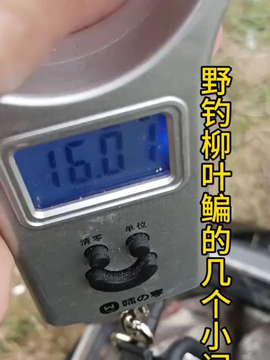 最近很多钓友让我分享野钓柳叶鳊的方法,其实很简单